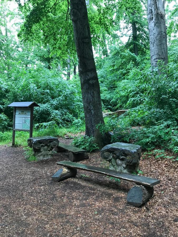 Ferienwohnung Morgensonne Am Kurpark Bad Berka - Parkplatz - Spielplatz - Wlan - 2 Schlafzimmer المظهر الخارجي الصورة
